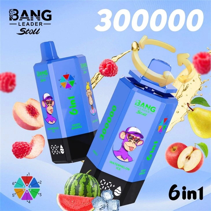 Bang Leader 300k Puffs factory